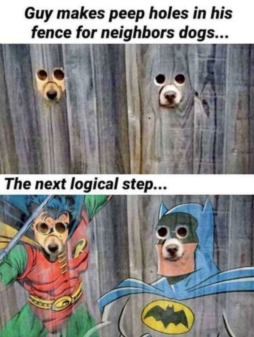 Thanks, I Love These Dogs Using Peepholes Made Just For Them!
