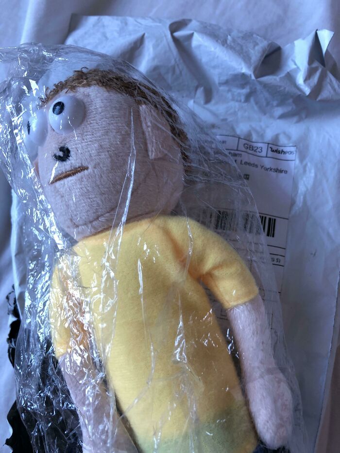 Yo pedí pinzas para el pelo y recibí un Morty