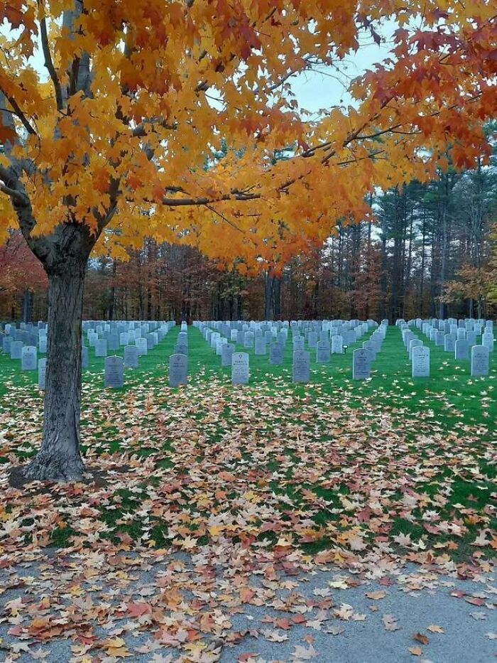 A Photo Of Cemetery Looks Like 2 Images Stitched Together