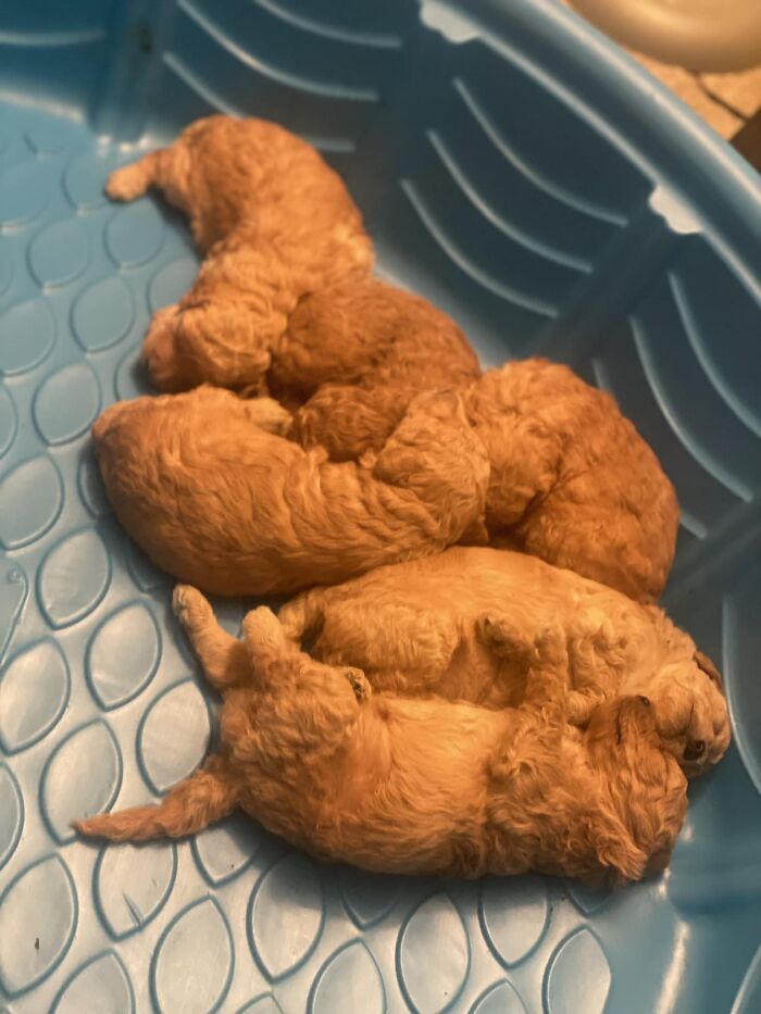 Everything Starts To Look Like Food When I Skip Lunch