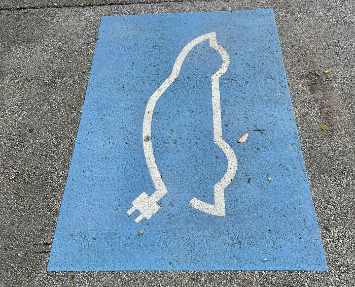 Charge Your Electric Cat Here