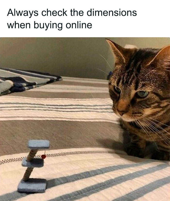 Always Check The Dimensions In Online Shopping