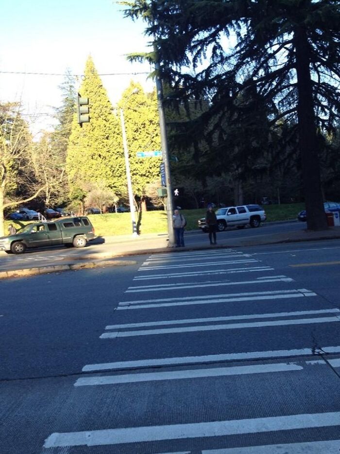 Building Caused A Shadow To Line Up Perfectly With A Light Pole