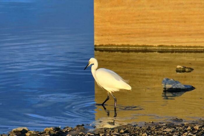 “Crossing Over”, Photographed By Kenichi Ohno. Yes, This Is Not Photoshopped