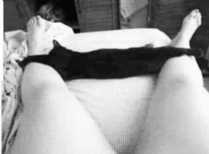 This Is Not What You Are Thinking It Is