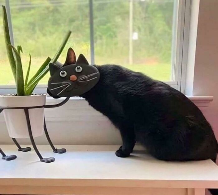 Thought It Was A Stuffed Animal