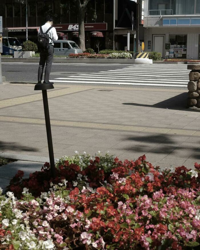 Get Ready For A Tiny Guy Way Up High