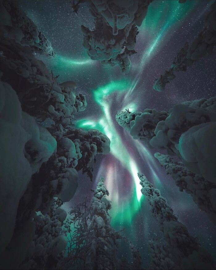 This Is What It Looks Like Standing Directly Under An Aurora
