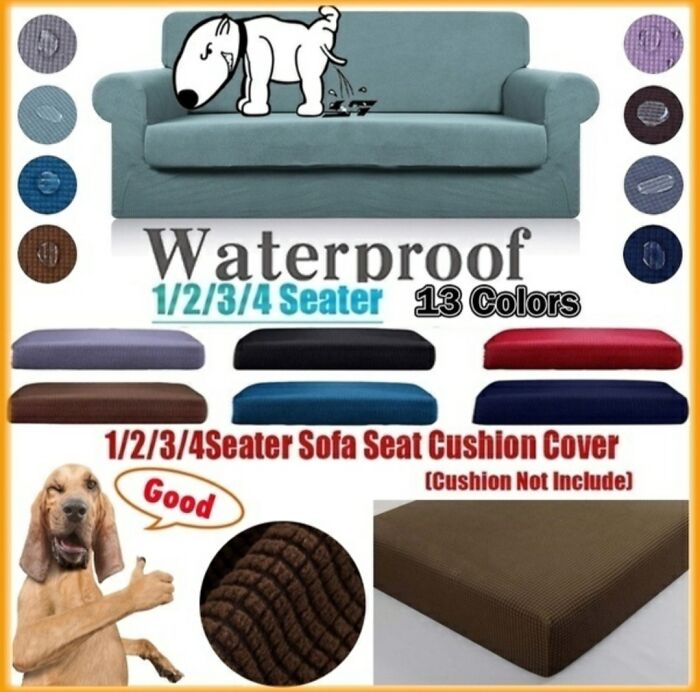 This Dog Is Horrifying