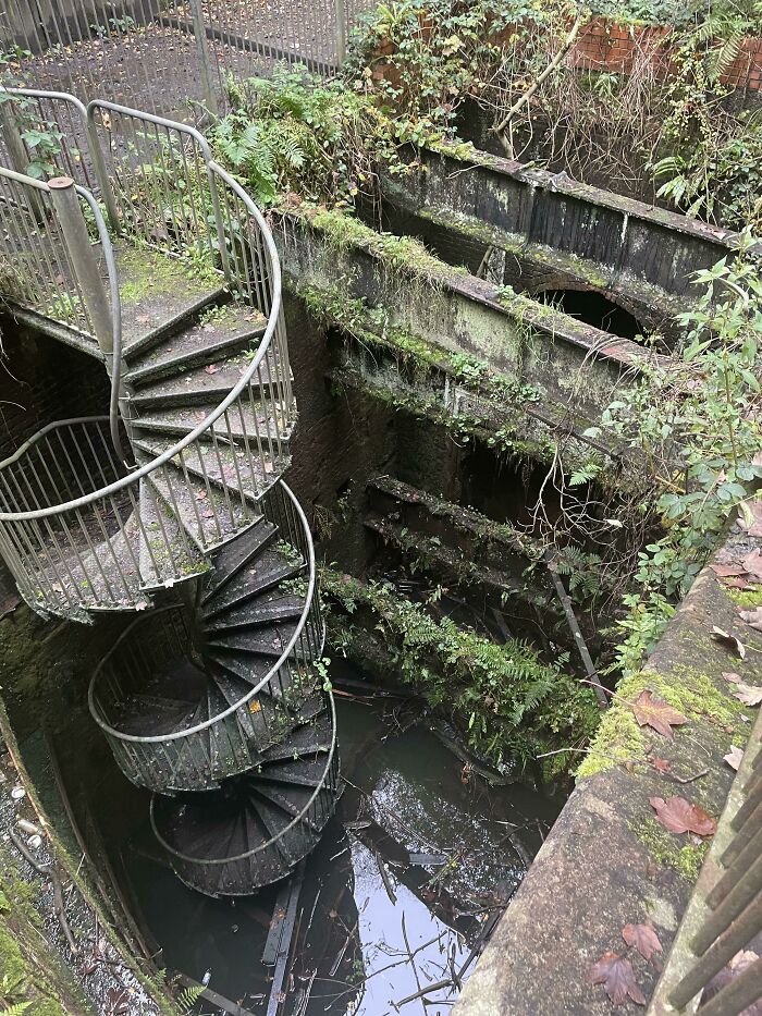 Found This In My Local Country Park…