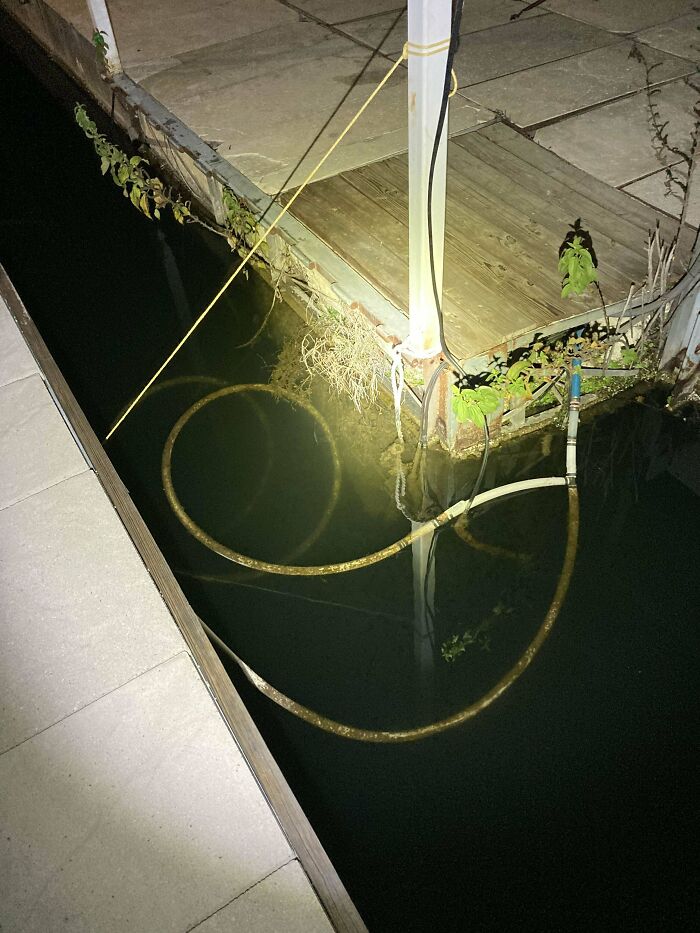 Took Some Photos At A Marina That I Thought U Guys Would Like