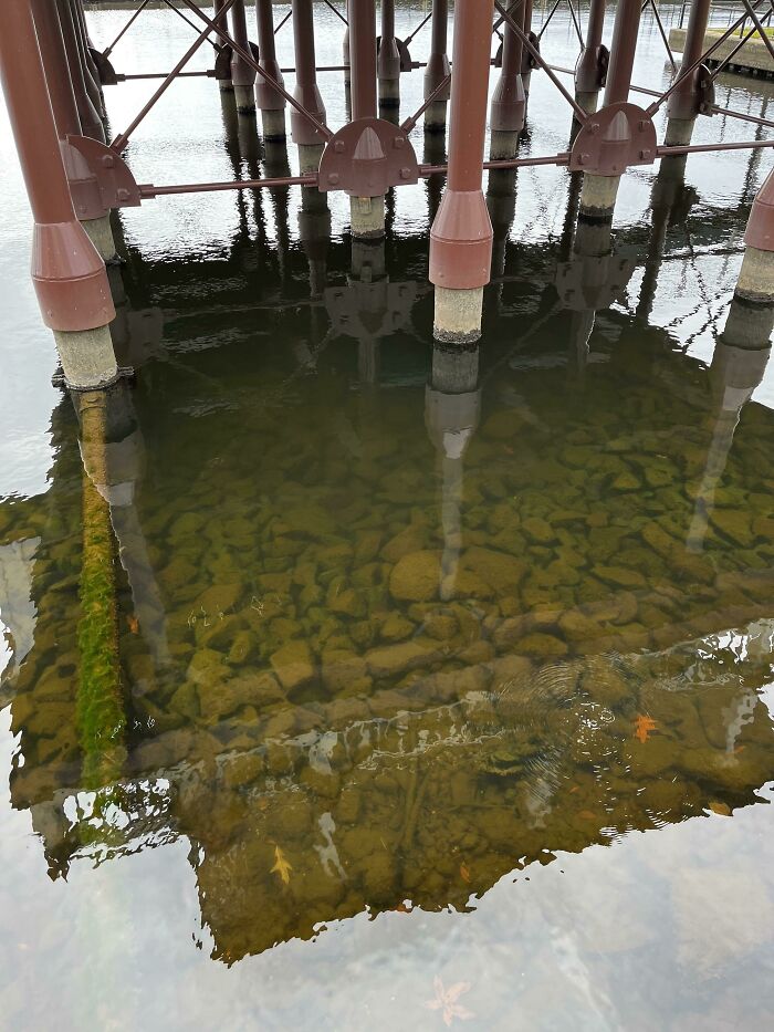 Hitting Rock Bottom In Edenton, Nc