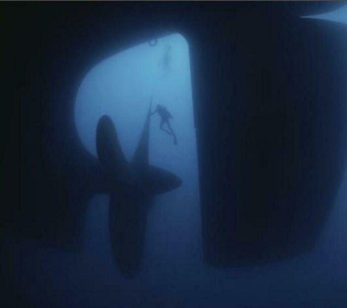 A Human Compared To A Ship Propeller