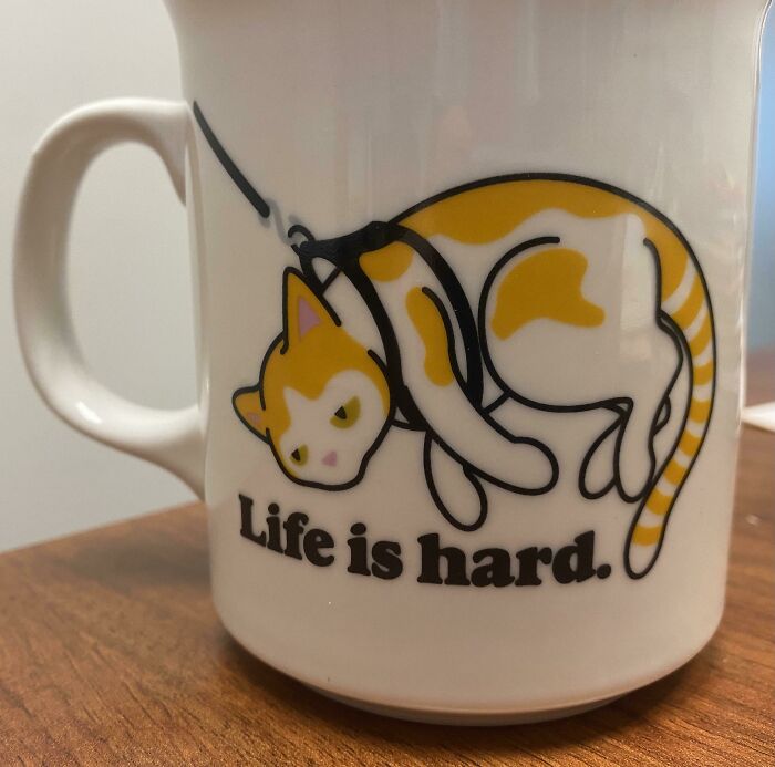 White mug featuring a tired orange and white cat illustration with text life is hard, showcasing unique mug life design.