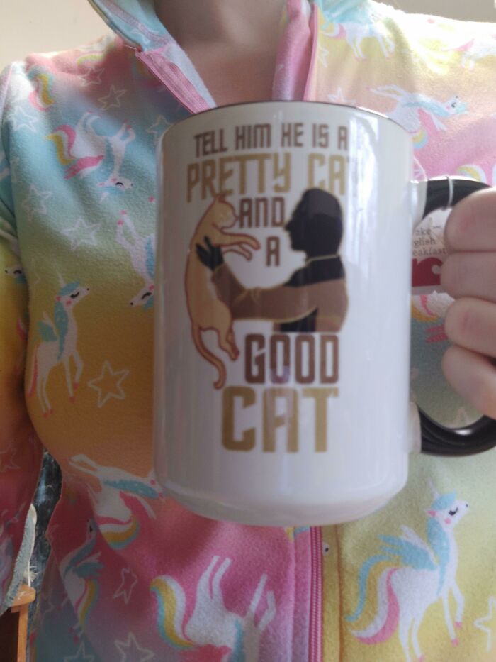 Person holding a mug with cat-themed text, wearing a colorful unicorn hoodie, showcasing creative mug life design.