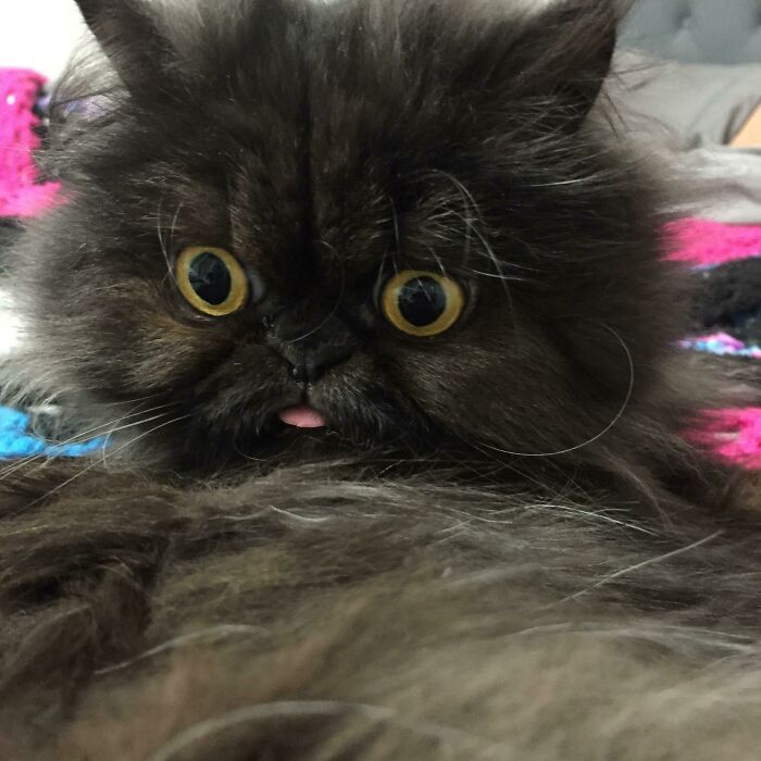 La he tocado y ha puesto esta cara