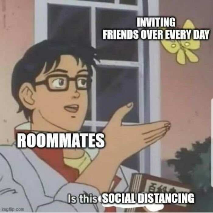 Every Single Day Since Our Quarantine Started Has Been Like This