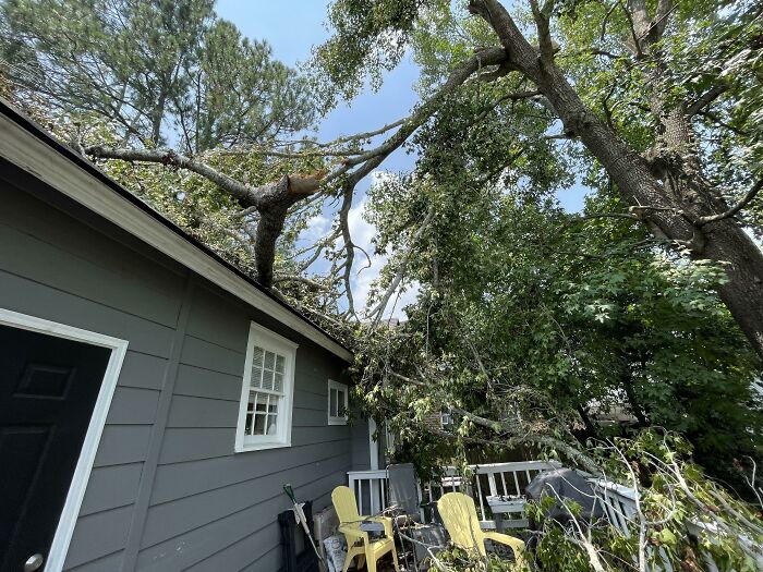 Several Very Large Tree Branches Fell On House During The Storm. Landlord Refuses To Do Anything
