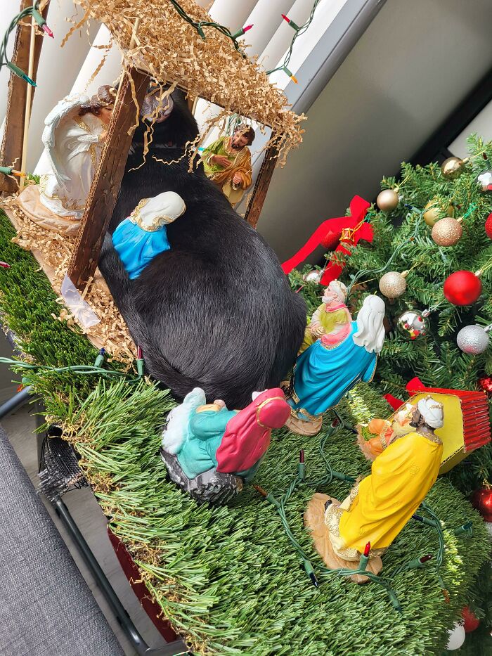 Si quepo, me siento. Edición navideña