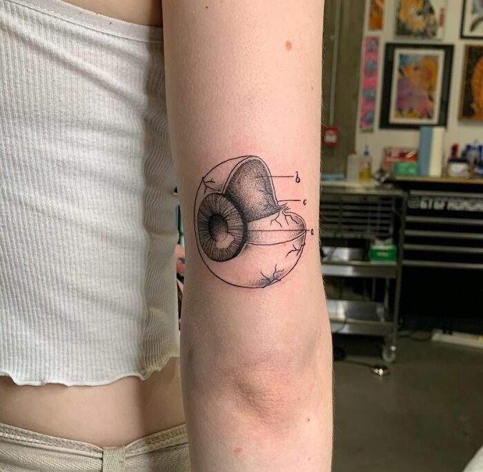 Detailed eye anatomy tattoo on a person's upper arm, emphasizing science artistry.