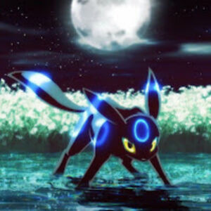 diamond_ocelot6 avatar