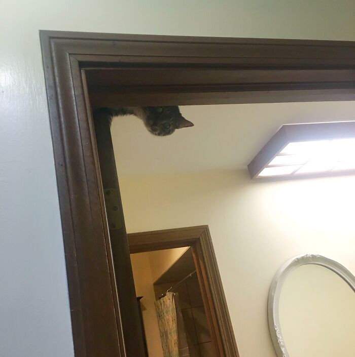 This Little Jerk Scared The Hell Out Of Me