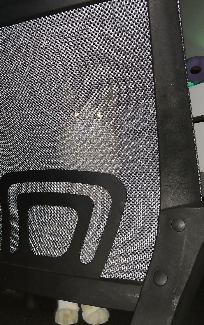 I Woke Up Feeling Watched And Almost Had A Heart Attack