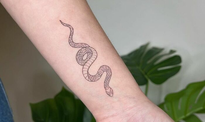 Snake tattoo on forearm with leafy background.