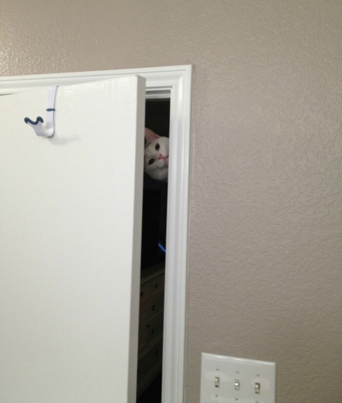 So This Is The Most Terrifying Thing That's Ever Happened To Me