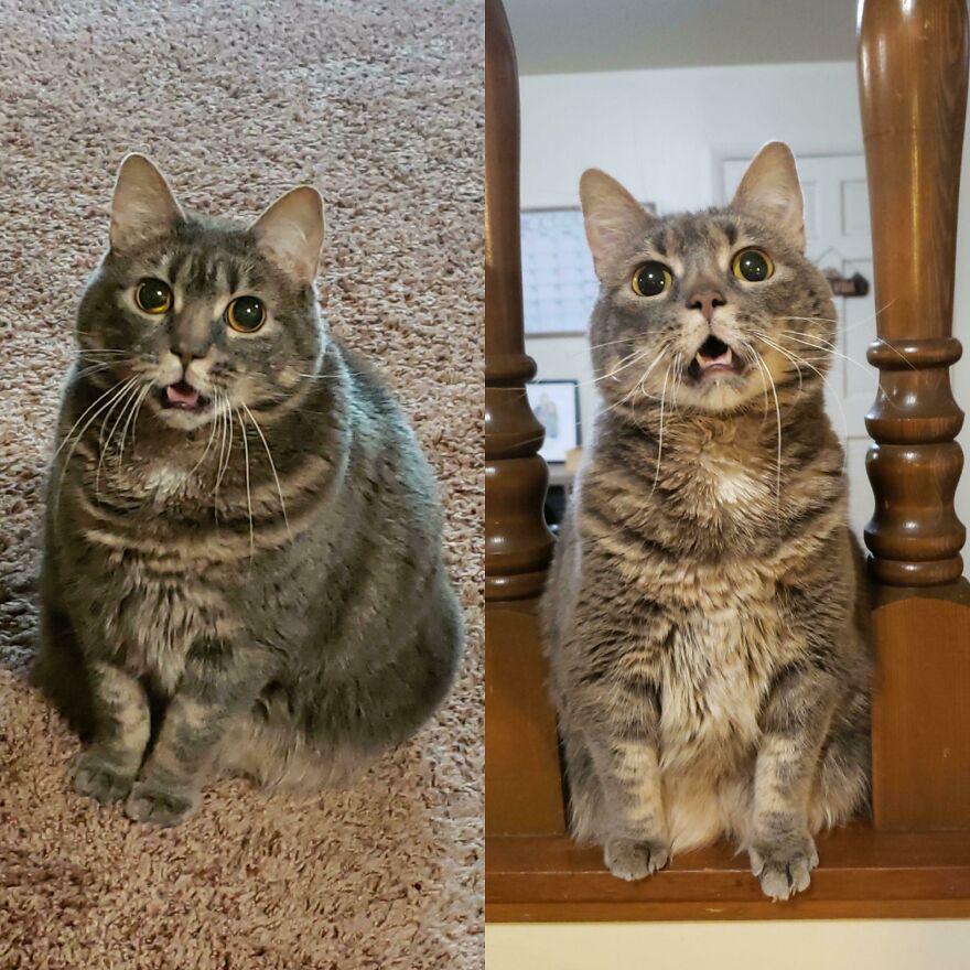 River Is Down 2 Pounds!!! And Still Yelling For Food Like Always River Is Down 2 Pounds!!! And Still Yelling For Food Like Always