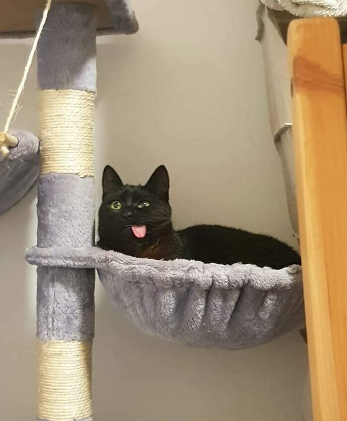 Creo que esto es lo bastante raro