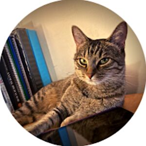 alainasandeen_1 avatar