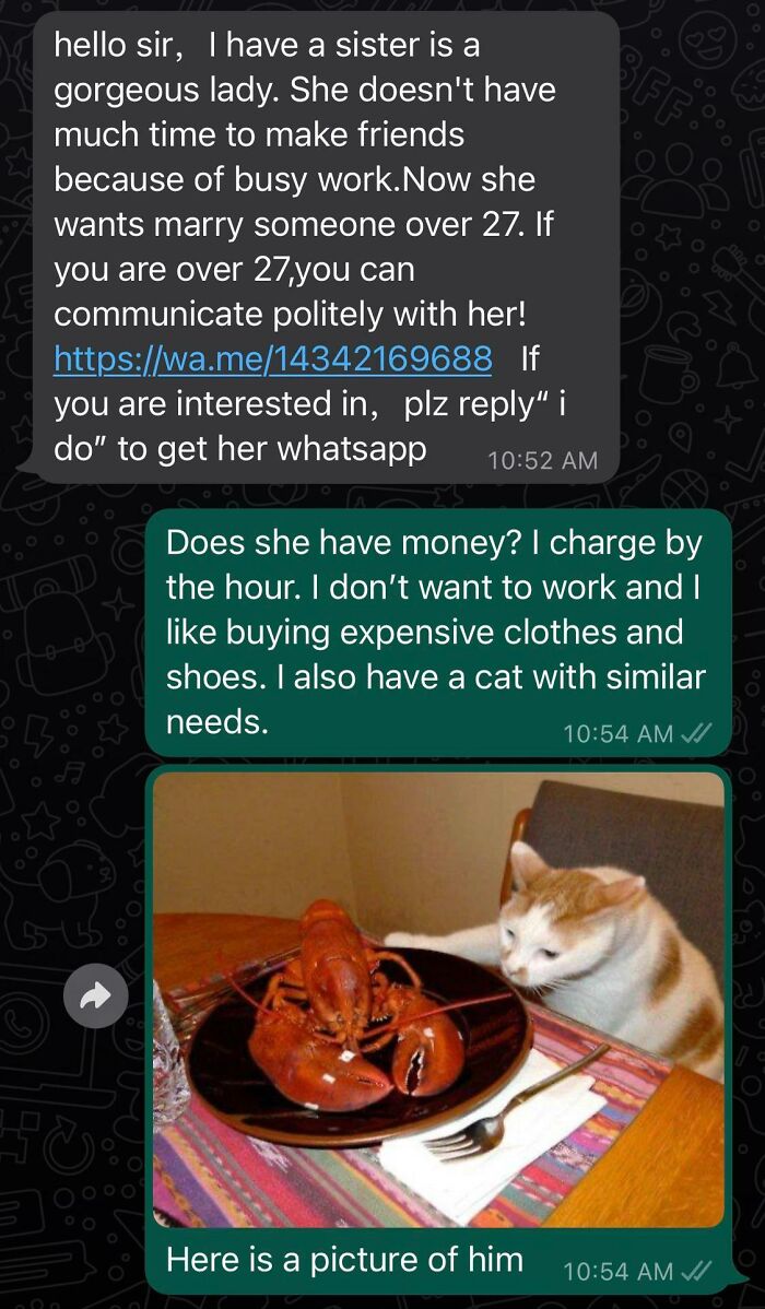 Chat conversation showing a scammer getting baited with humorous replies and a cat photo in scammer destruction.