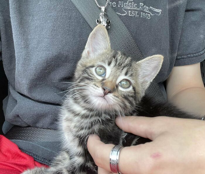 My New Boy Is Home 💕