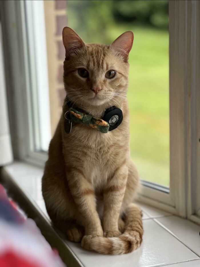 My New Little Guy Is Very Photogenic