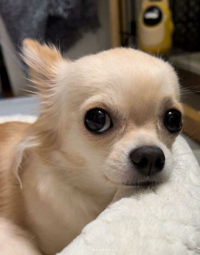 Our New Member, A Name Please