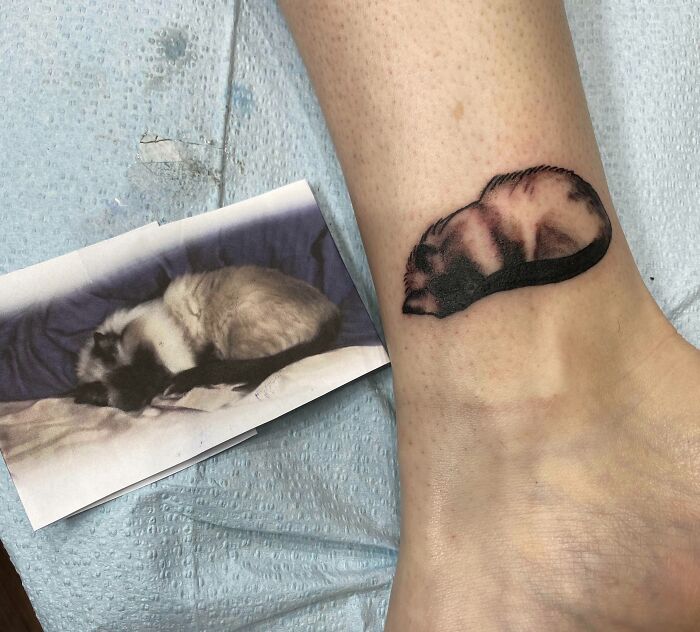 Sleeping cat ankle tattoo with photo reference, showcasing ankle tattoo inspiration and design.