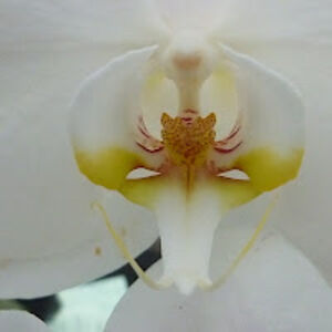 lauraparker_2 avatar