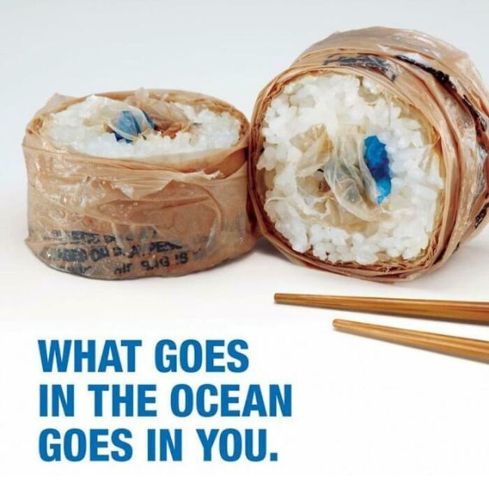 Surfrider Foundation Sushi Ad