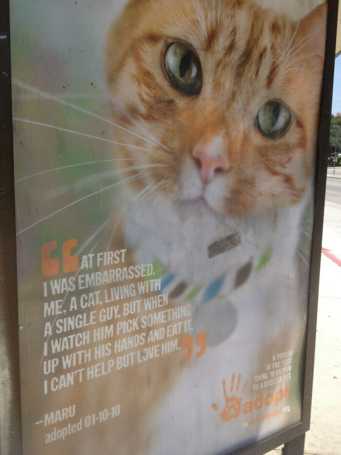 Bus Stop Bench Ad. These People Know How To Advertise