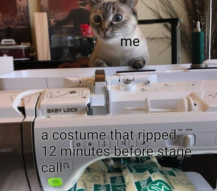 Cat trying to fix a costume with a sewing machine, looking focused. Dance meme humor.