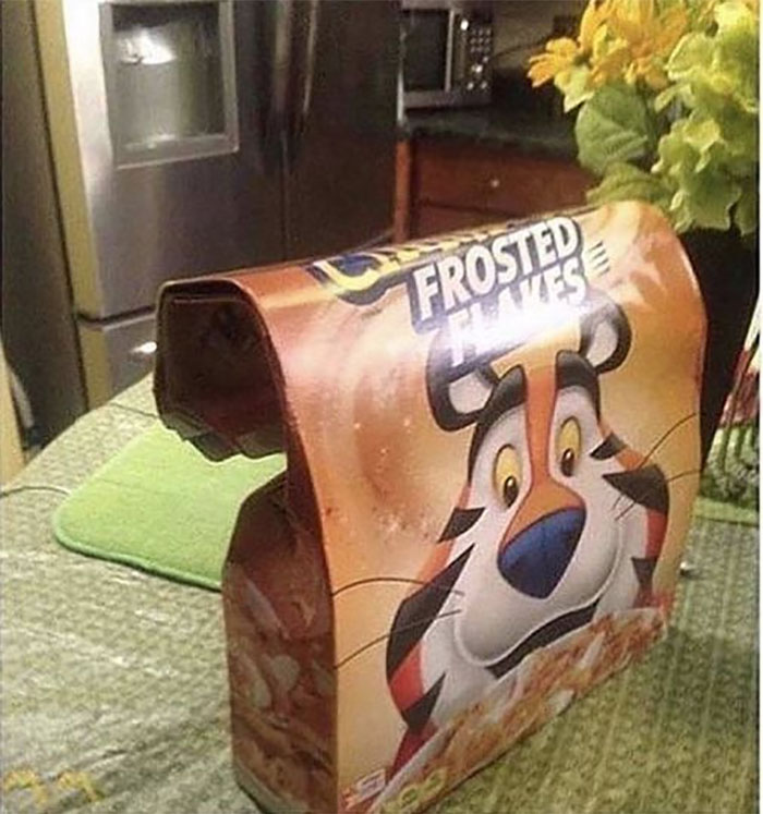 Mildly-Infuriating-Pictures