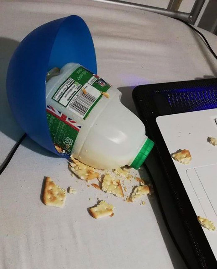 Mildly-Infuriating-Pictures