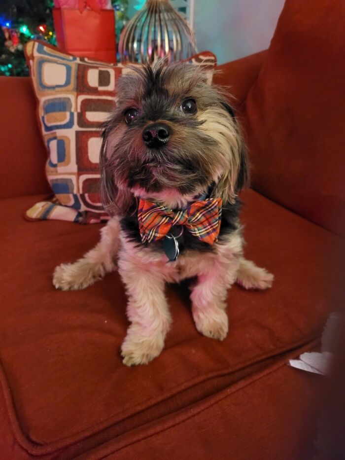 My Little Man Being Pretty