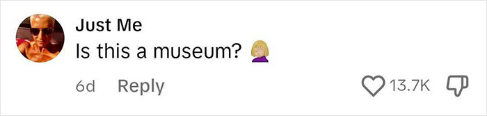 Comment saying Is this a museum with a woman emoji, posted by Just Me, showing 13.7K likes and a reply option.