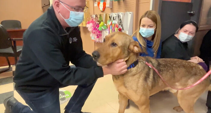 Heartwarming Video Showing Shelter Dog Saying Goodbye To Staff Members After Being Adopted Heartwarming Video Showing Shelter Dog Saying Goodbye To Staff Members After Being Adopted