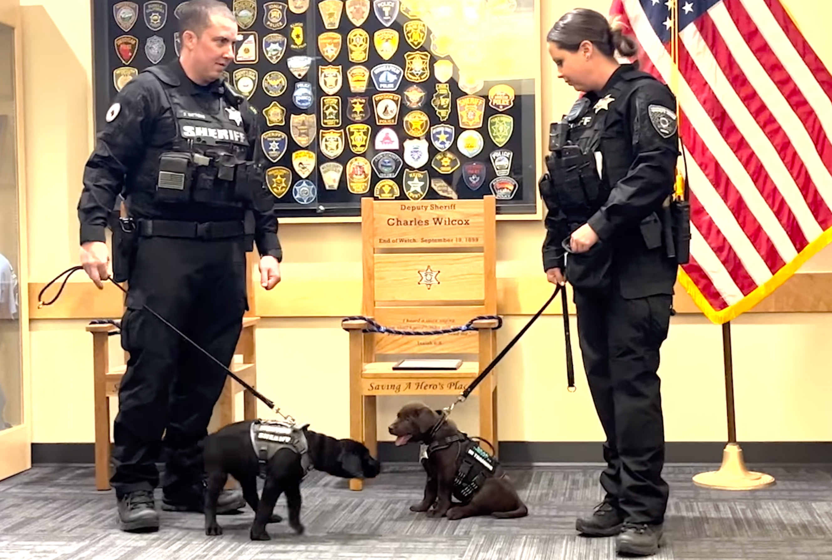 K9 Puppy Melts Hearts By Dozing Off During Swearing-In Ceremony K9 Puppy Melts Hearts By Dozing Off During Swearing-In Ceremony
