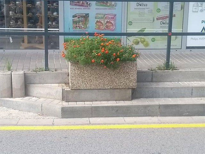 Mildly-Infuriating-Pictures