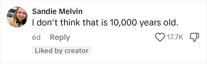 Comment from Sandie Melvin saying she doubts the age claim, related to viral Airbnb rules notes discussion.