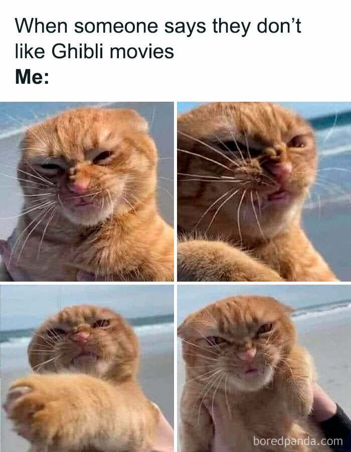 Grumpy cat meme reacting to someone disliking Studio Ghibli movies, with a sarcastic facial expression.